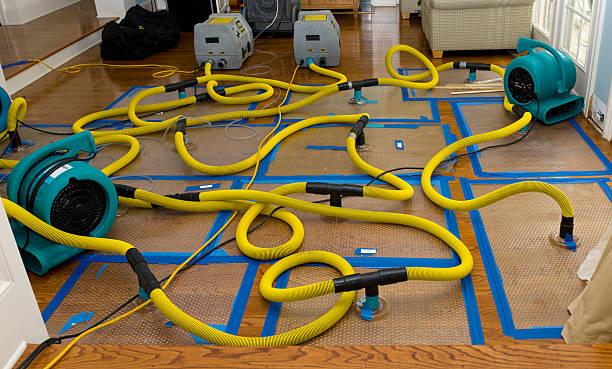 Professional Water Extraction technician working in Lincoln, MO